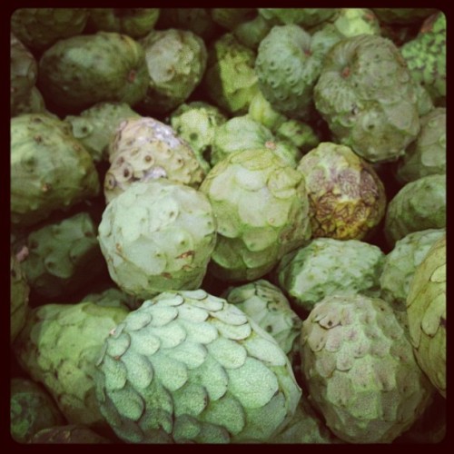 Taken with Instagram at Pancho Villa Farmer&rsquo;s Market