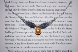 10knotes:   The Golden Snitch necklace is available at the Wicked Clothes shop! Show your love for the series and buy it now before it’s sold out! Order now and use coupon code ‘1000NOTES’ to get 10% off your entire order! Click here to go to