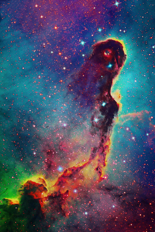 XXX weareallstarstuff:  Elephant’s Trunk Nebula photo