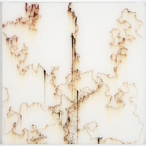 hypna:  Brooklyn, NY based artist and writer Shane McAdams created this series