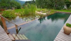 mandighage:  relright:  natural swimming pools uses plants to filter the water instead of chemicals I’ve never been so in love with an idea in my entire life  wow I need one 