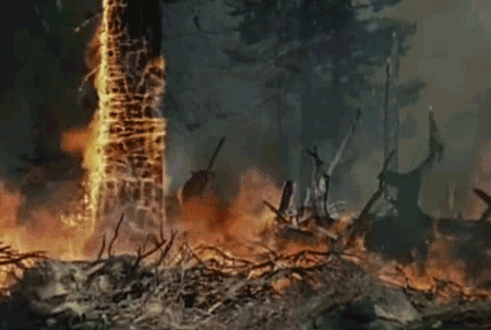 earthandanimals:  This makes me want to slaughter people. 