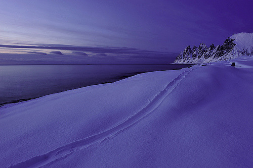 howelegant:  10 02 09_5553m (by tsnedal) 
