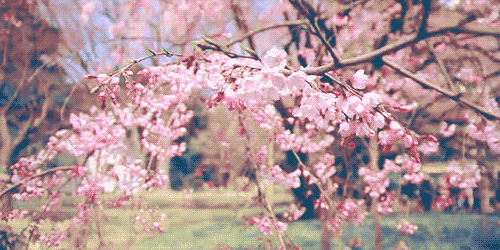 ♡