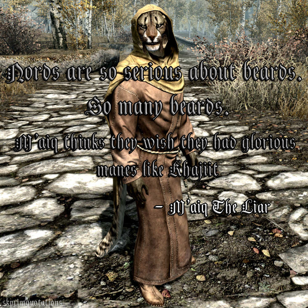 Skyrim Quotes — “Nords Are So Serious About Beards. So Many...