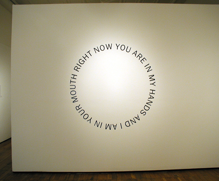 Mark Mumford
RIGHT NOW YOU ARE IN MY HANDS AND I AM IN YOUR MOUTH, 2006
Vinyl
Dimensions Variable