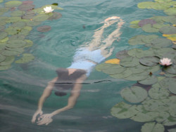 人魂で 行く気散じや 夏野原