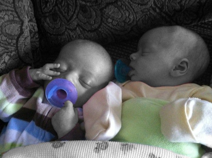 twloha2498:  Mason and Ryder &lt; 3  Feb 22, 2012 &lt; 3 Messin’ with