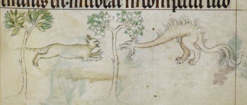 MEDIEVAL LOLCATS 2Queen Mary Psalter. London 1310-1320.British Library, Royal 2 B VII, fol. 188, 194