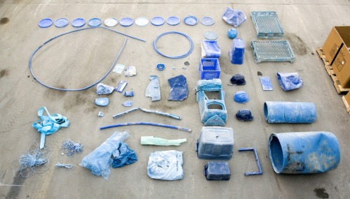 thingsorganizedneatly:
“ SUBMISSION: The Taxonomy of Trash project. I recently spent the day at a recycling center as part of an artist residency . During the course of the day I collected everything blue and made an arrangement of them in the...