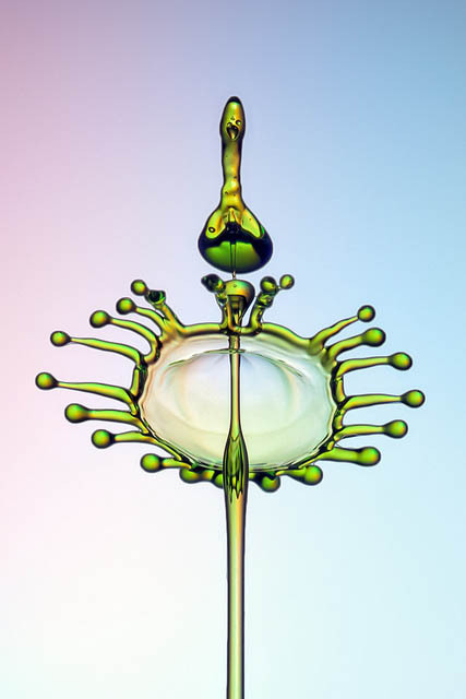 Liquid Splashes Art by Markus ReugelsWater is the element of life, everyone needs to live and see it