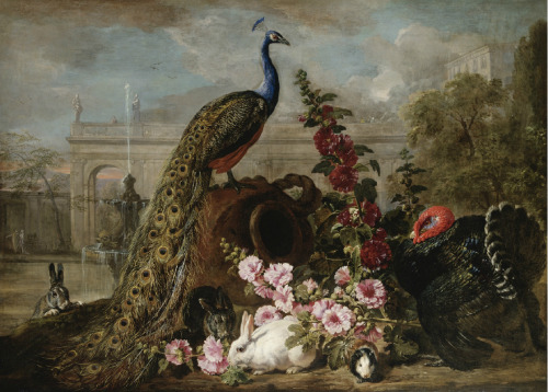 necspenecmetu - David de Coninck, Still Life with a Peacock,...