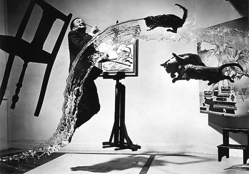 &ldquo;Atomicus&rdquo;    Dali and 3 cats, 1949Phillip Halsman, Jump Photos