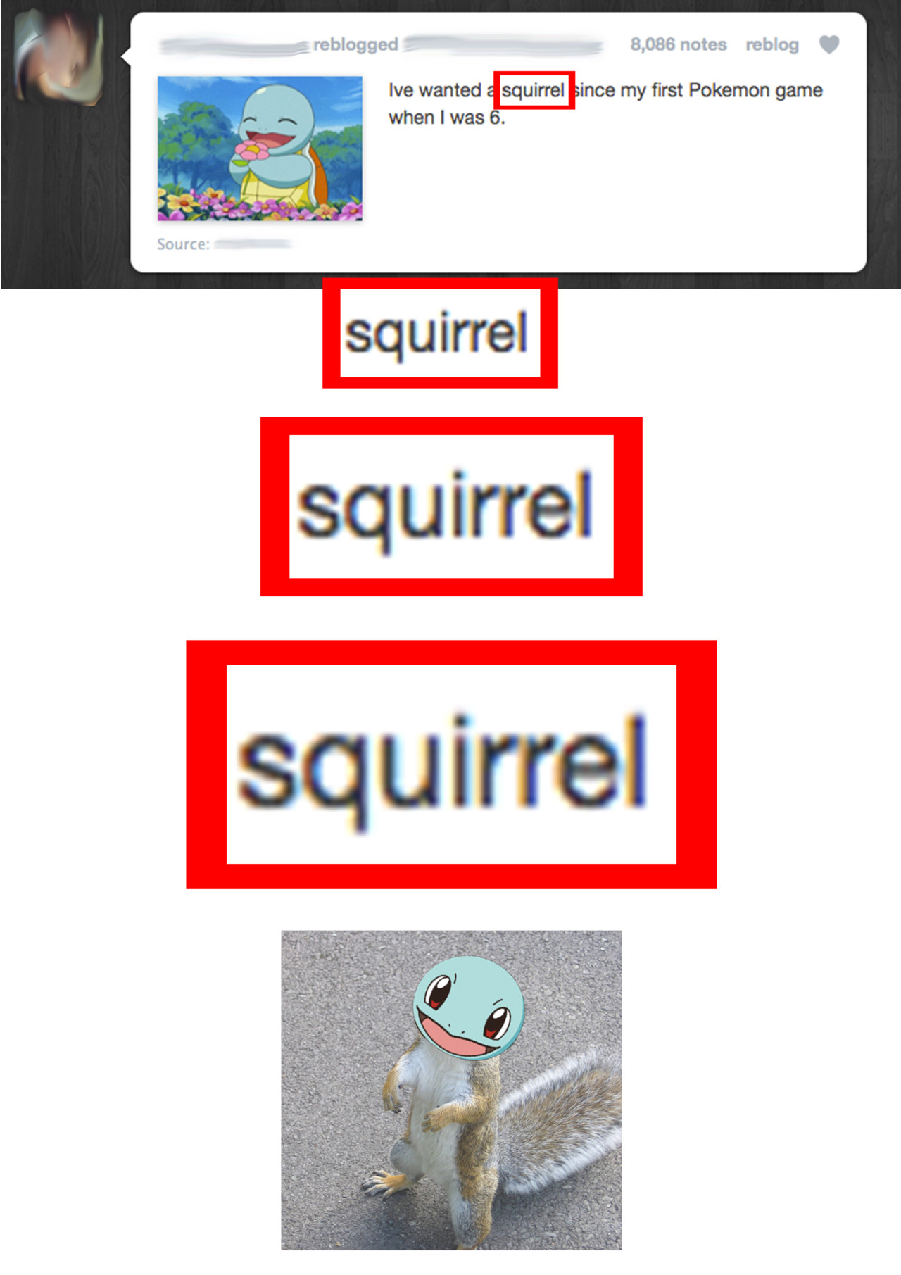 the-absolute-funniest-posts:  Follow this blog, you will love it on your dashboard