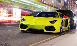 automotivated:  Aventador “Lime” Edition (by Nike_747)