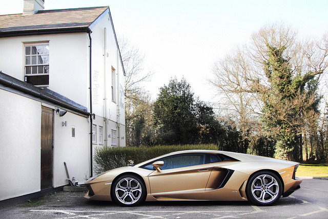 alexpenfold:  Golden. on Flickr. 