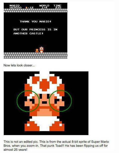leetakeuchi:  Toad: 