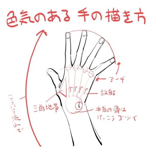 maru-chii:   色気のある手の描き方 
