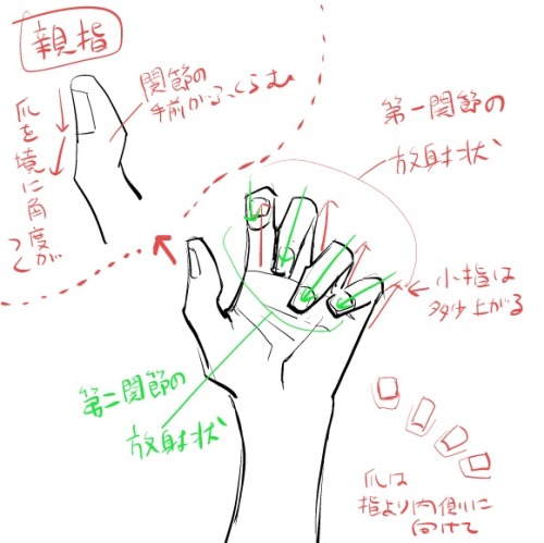 maru-chii:   色気のある手の描き方 