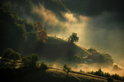 Sweet Escape