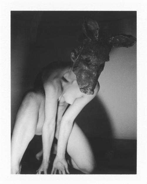 DanniDee . LA. 2011. Polaroid 680 299. derekwoodsphotography