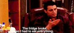 verychileno:  The fridge broke, so I had to eat everything