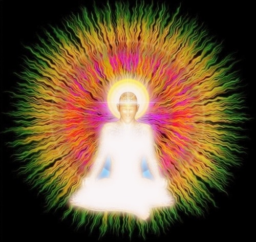yogaprivatelessons:  Be Enlightened. Free your mind.  “Don’t seek, don’t search, d