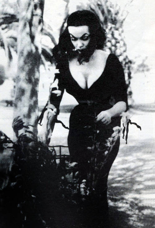 and here’s the lovely Ms. Vampira  attending to her flowers :)- Count Orlock