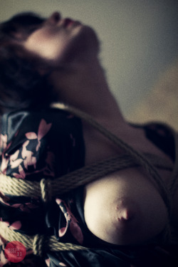 nsfwmind:  Open Kimono Shibari 