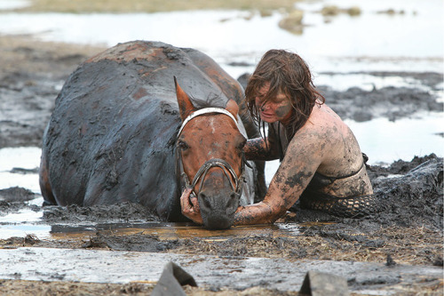 guardian:  The incredible story of one woman’s loyalty to her horse – she spent three hours holding its head above the tide after it got stuck in the mud on a beach in Australia.  