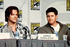 fantastic-tardis:  boater—cycles:  fluffattack:  jensenacklesruinedmylife:  thenerdangels:  Jensen is just like…Jared NO. Stop playing with that! Give to me! Jesus, I can’t take you anywhere!   #ACTUAL 5 YEAR OLD  #ACTUAL MOM  #HE JUST PUTS IT
