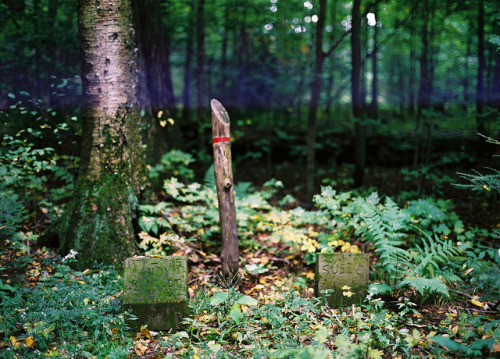 laughingfits:  untitled by hopefuldoubtful on Flickr.
