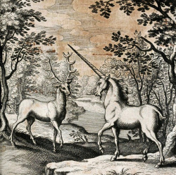 thephysicalisanillusion:  speciesbarocus:  Dyas chymica tripartita (1625).  