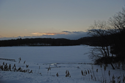 Snow in Harriman State Park 2011…. www.freerice.com