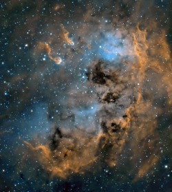 Wavesoftware:  Emission Nebula In Auriga  Copyright: Nik Szymanek