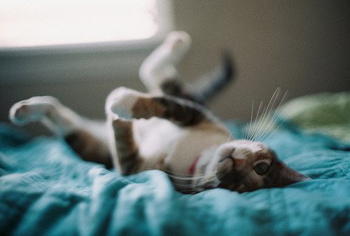 nombrecreativo:  Tumblr on We Heart It. http://weheartit.com/entry/24003360 