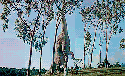   Places in Film I’d Love to Visit**↳  Isla Sorna and Isla Nublar in Jurassic