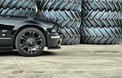 automotivated:  A black wheel (by Lyon1845) 