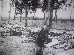 mightycocainebears:  The armenian genocide.