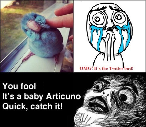 funniest10k:  Follow this blog, you will love it on your dashboard