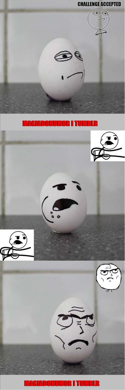 the-absolute-funniest-posts:  Follow this blog, you will love it on your dashboard