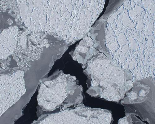 It’s no secret that the planet’s glaciers are melting. The Environmental Protection Agency reports that sea levels have risen from 6 to 8 inches in the past 100 years. Some experts estimate that sea levels will rise as much as 20 inches by the year...