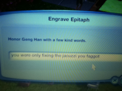 brokenwetdreams:  my sim just got fucking electrocuted and died 
