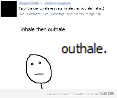 the-absolute-funniest-posts:  Follow this blog, you will love it on your dashboard