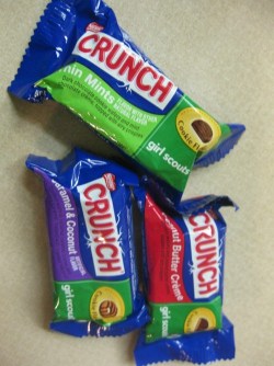 thedailywhat:  EXCLUSIVE Update of the Day: Tipster Autumn, who has a cousin in high places, sent in this sneak peek of a couple other flavors in the Nestle Crunch Girl Scout candy bar line that is expected to be unveiled this June. As you can see, prayer