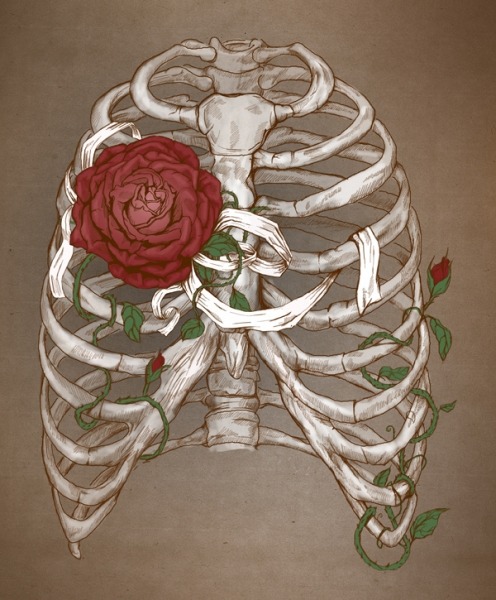 staceythinx:  Some surreal and anatomically inspired work by Katerina Eremeeva 