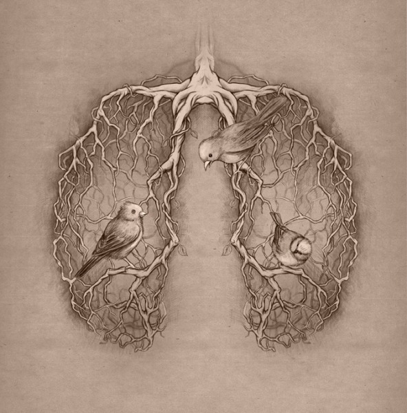 staceythinx:  Some surreal and anatomically inspired work by Katerina Eremeeva 