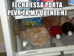 Biscoitinhos da Vovó