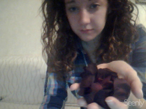 saved rose petals~ 2-17-12 bullshit