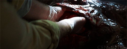 godessofhell:  The Thing (1982) 